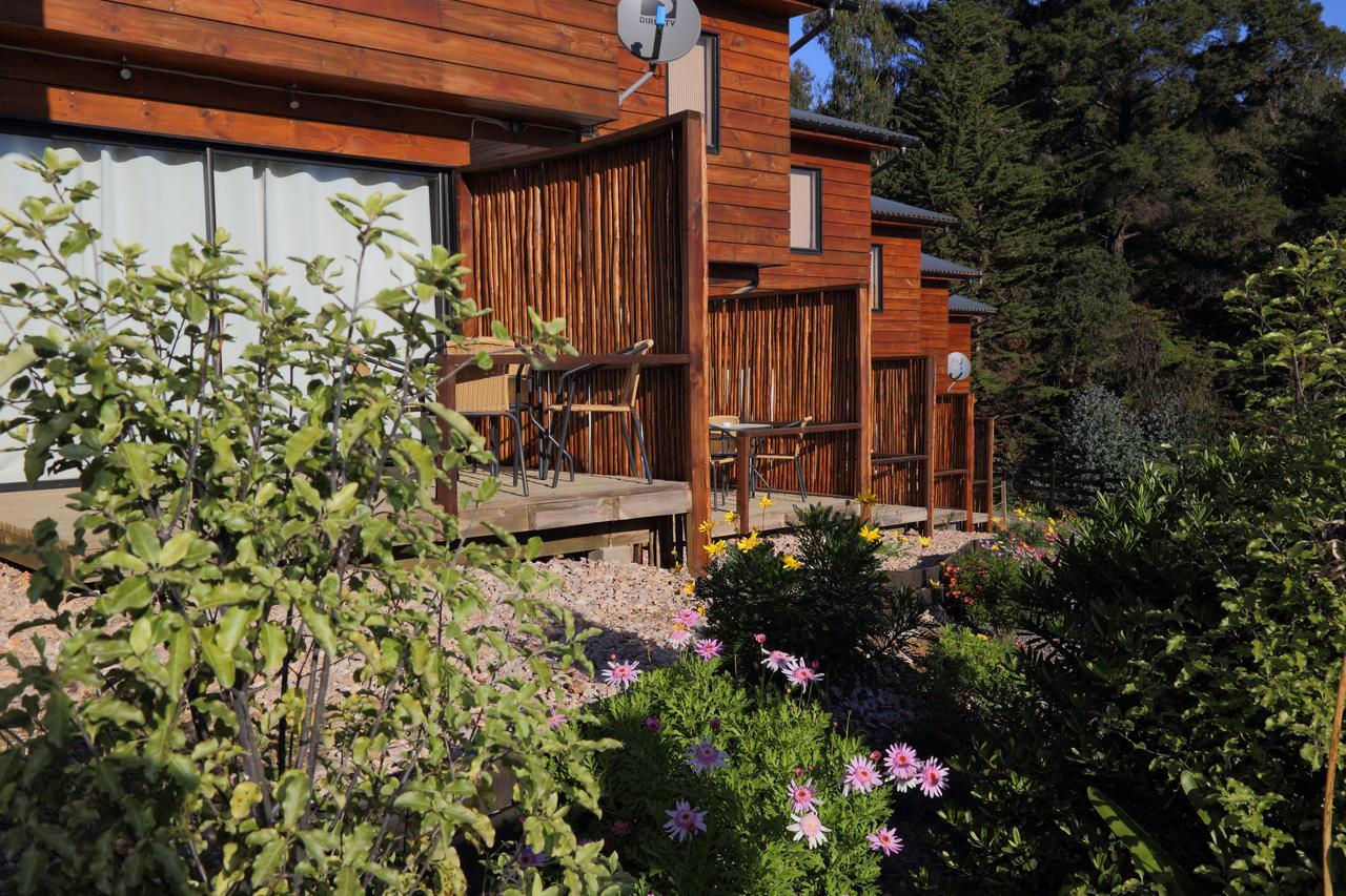 Cabanas Y Spa Costa Patagonia - Piscina Climatizada Пичилему Экстерьер фото